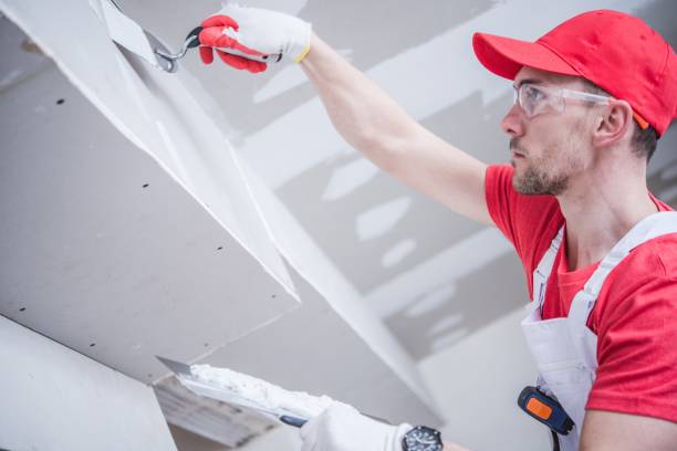 Best Commercial Mold Inspection  in Wagon Wheel, AZ